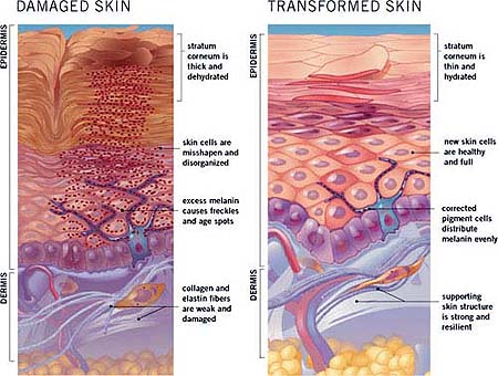obagi skin care system arizona