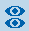 Haag Streit Perimetry OCTOPUS 900 Icon Both Eyes
