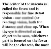 Macular Degeneration Mesa